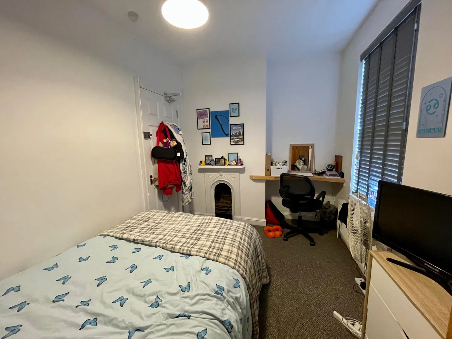 West End // 4 Bed Property // Sep 2026 - Image 7